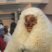 Alemannische Fastnacht