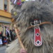 Carneval  in  Ptuj