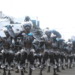 Carneval in Ilo Ilo