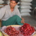 Myanmar ( Birma )